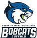 Bryant & Stratton College-Buffalo logo