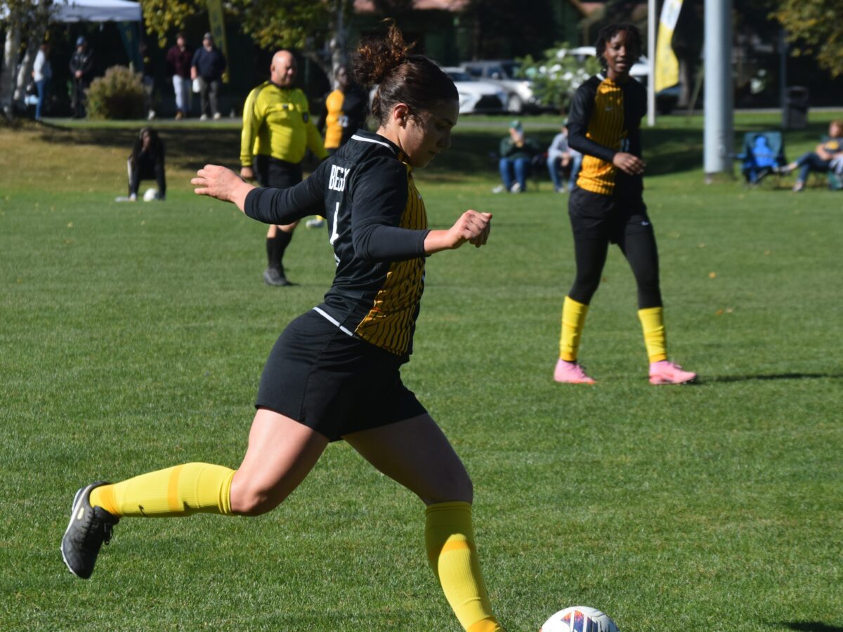 a women's soccer player prepares to kick. the ball